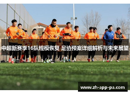 中超新赛季16队规模恢复 足协预案详细解析与未来展望 中超新赛季16队规模恢复 足协预案详细解析与未来展望