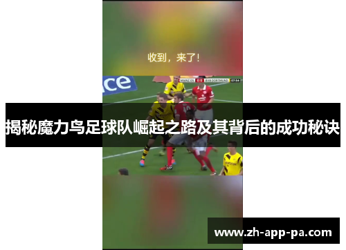 揭秘魔力鸟足球队崛起之路及其背后的成功秘诀