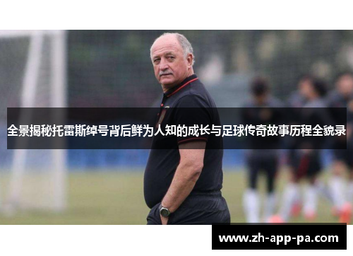 全景揭秘托雷斯绰号背后鲜为人知的成长与足球传奇故事历程全貌录