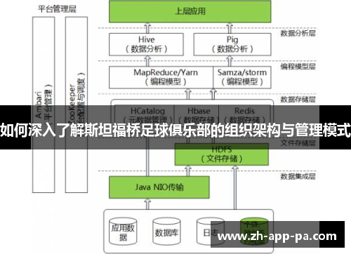 如何深入了解斯坦福桥足球俱乐部的组织架构与管理模式