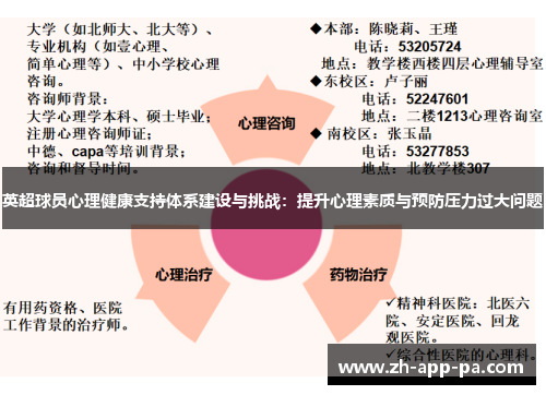 英超球员心理健康支持体系建设与挑战：提升心理素质与预防压力过大问题
